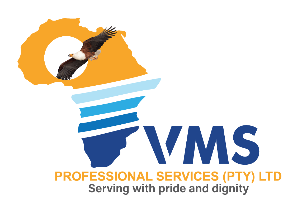 VMS Professional Services Logo